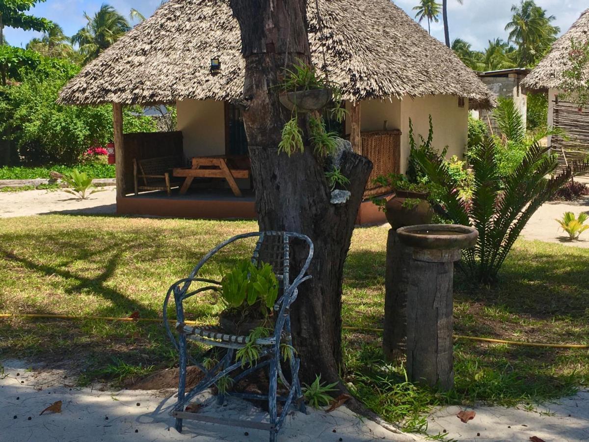 Driftwood Beach Lodge Jambiani  Ngoại thất bức ảnh