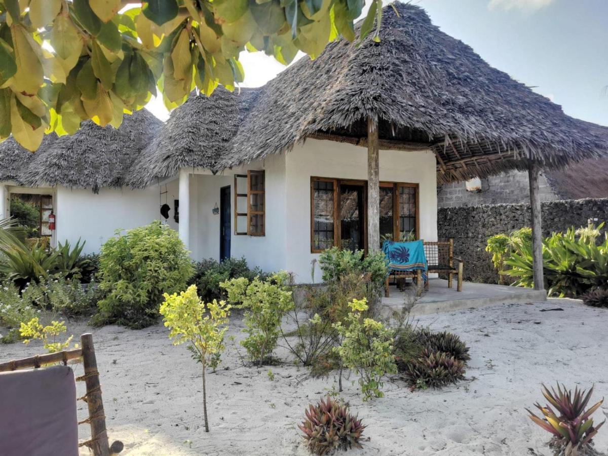 Driftwood Beach Lodge Jambiani  Ngoại thất bức ảnh