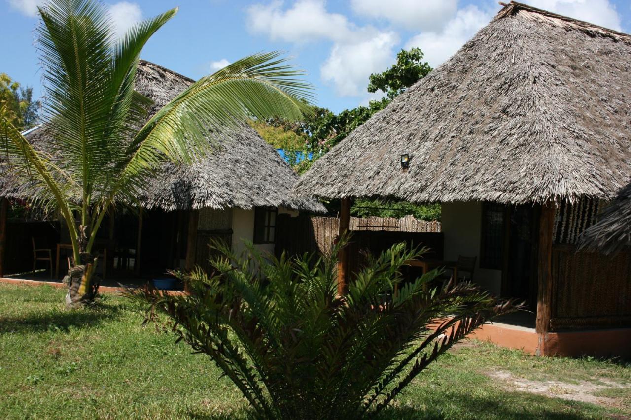 Driftwood Beach Lodge Jambiani  Ngoại thất bức ảnh