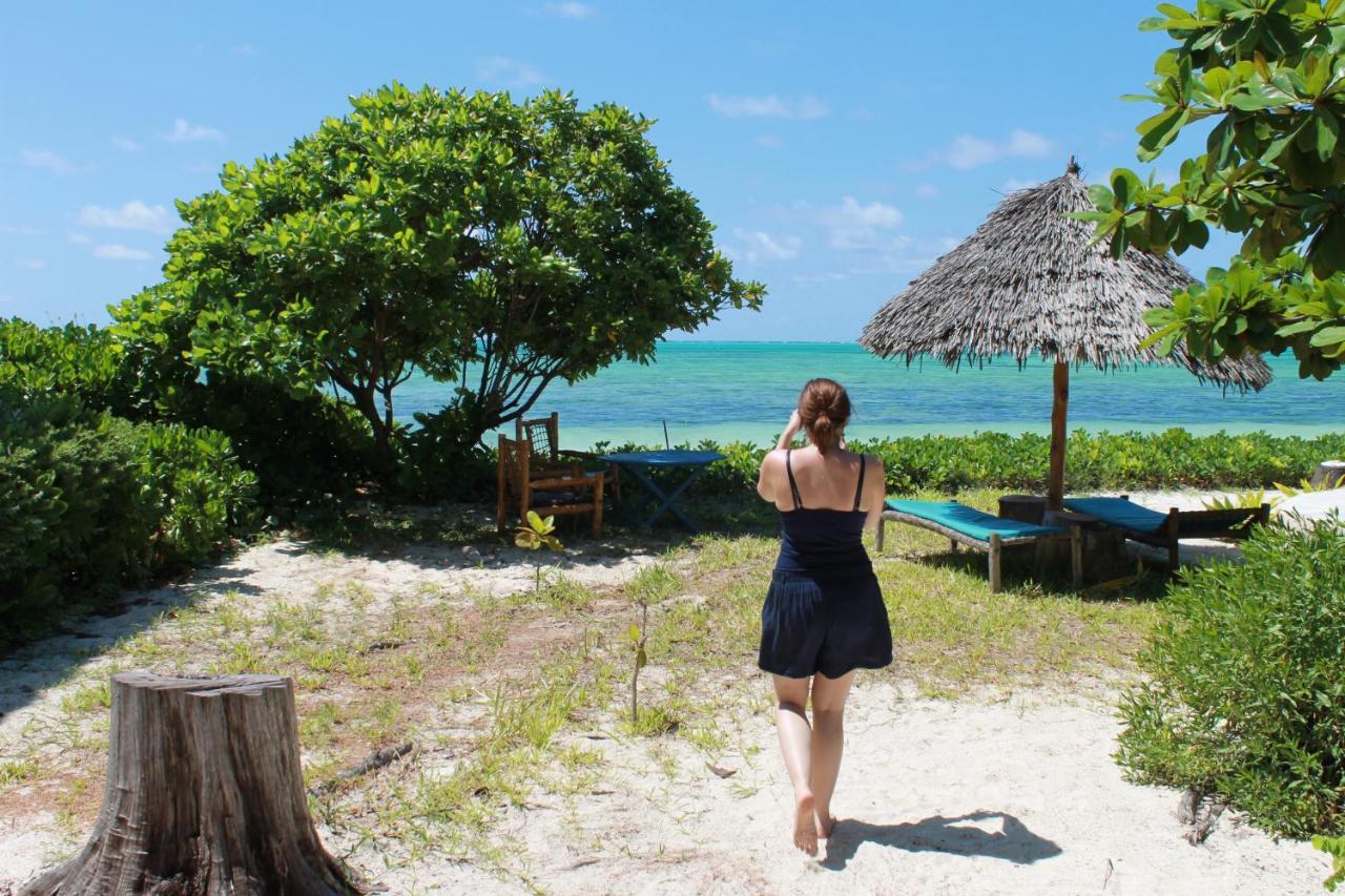 Driftwood Beach Lodge Jambiani  Ngoại thất bức ảnh