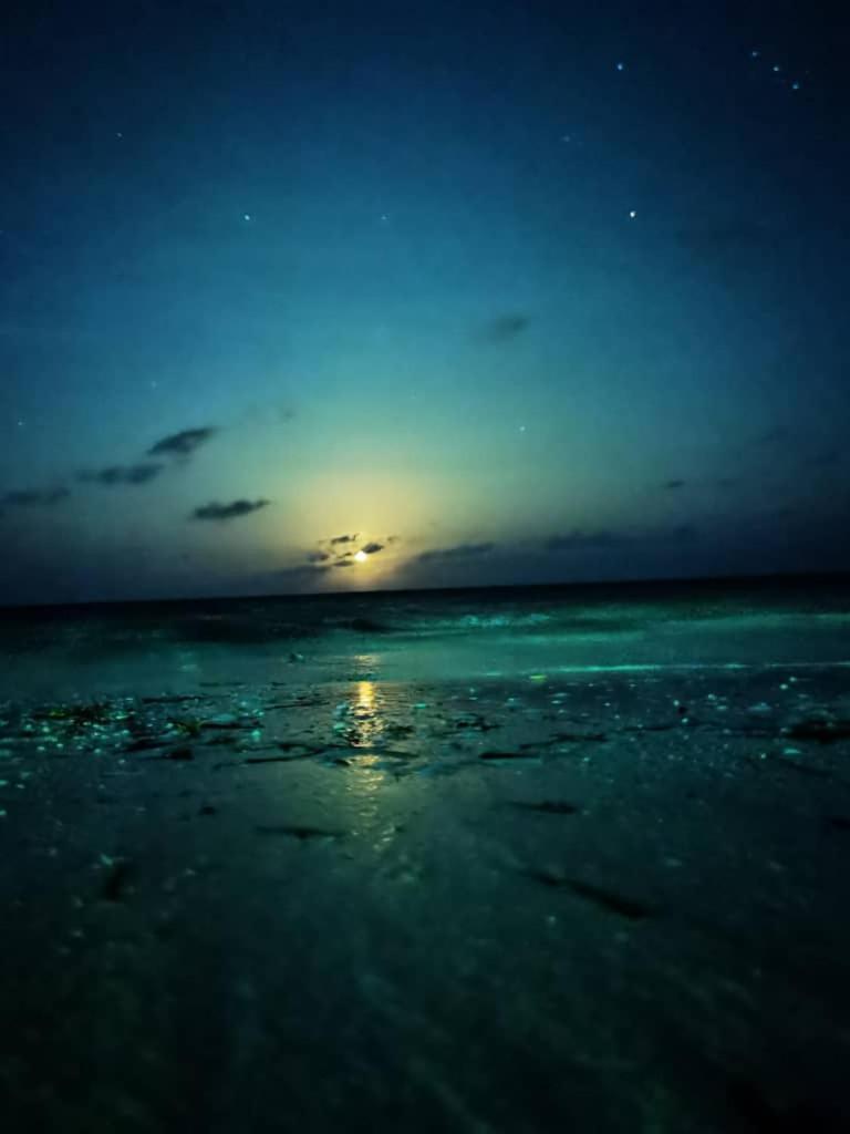 Driftwood Beach Lodge Jambiani  Ngoại thất bức ảnh