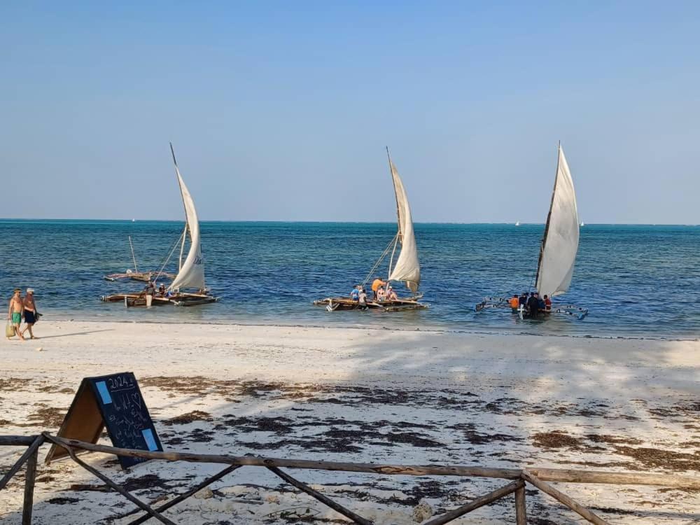 Driftwood Beach Lodge Jambiani  Ngoại thất bức ảnh