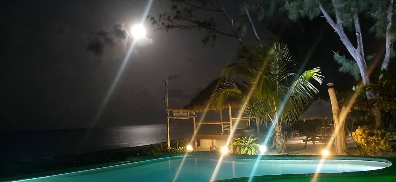 Driftwood Beach Lodge Jambiani  Ngoại thất bức ảnh
