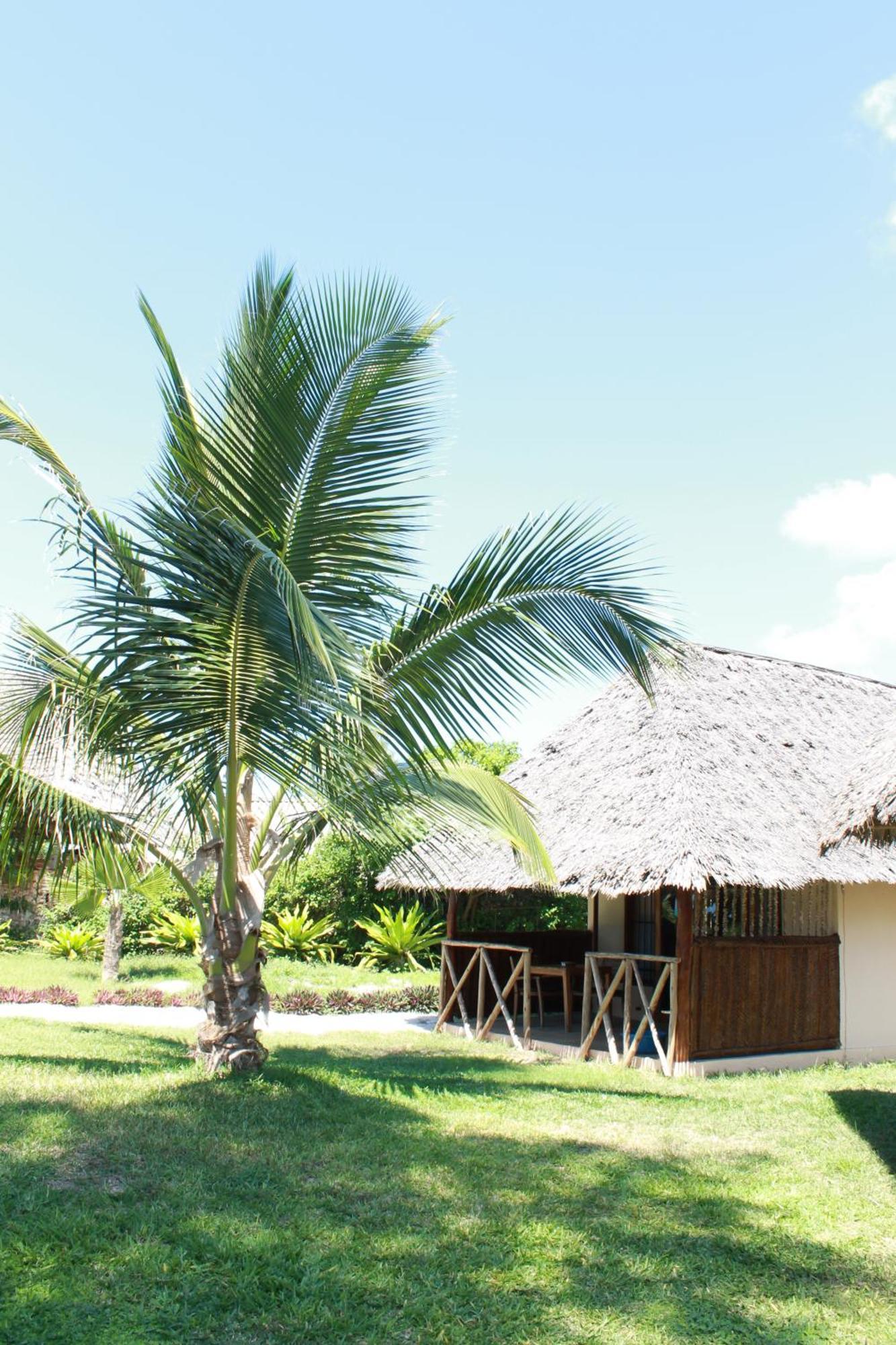 Driftwood Beach Lodge Jambiani  Ngoại thất bức ảnh