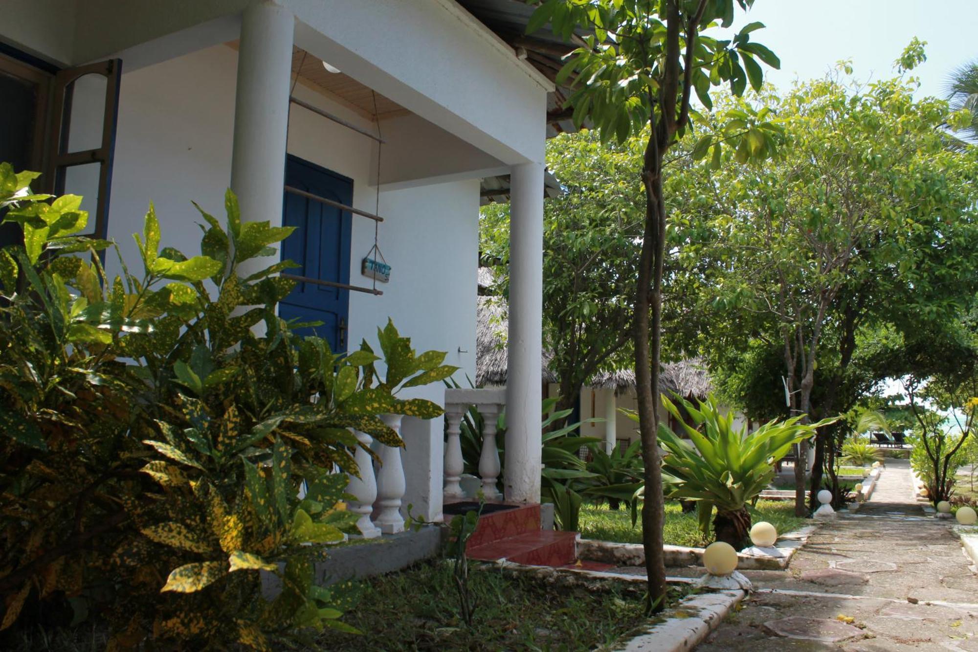 Driftwood Beach Lodge Jambiani  Ngoại thất bức ảnh