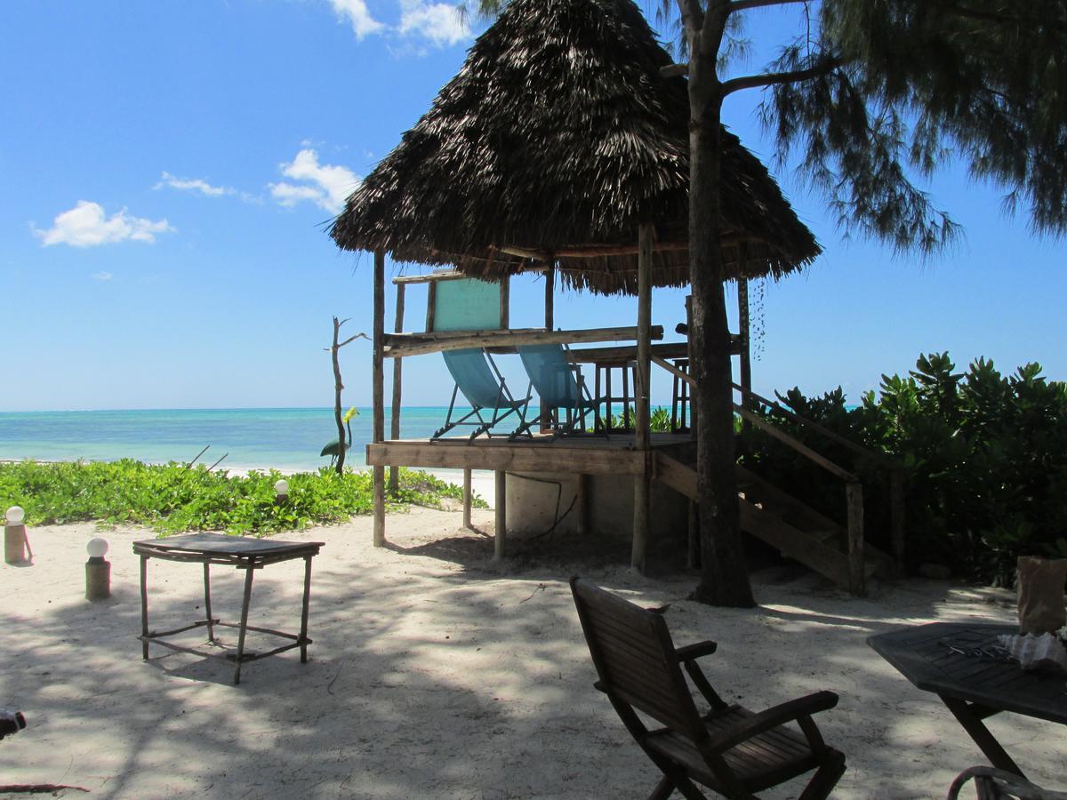 Driftwood Beach Lodge Jambiani  Ngoại thất bức ảnh