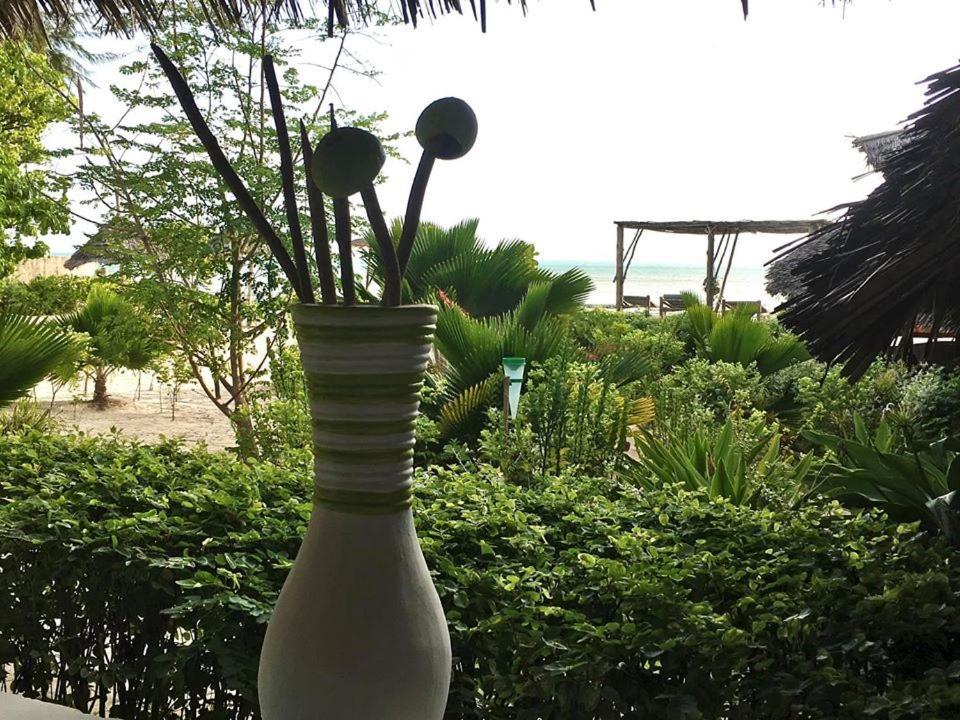 Driftwood Beach Lodge Jambiani  Ngoại thất bức ảnh