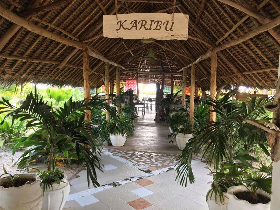 Driftwood Beach Lodge Jambiani  Ngoại thất bức ảnh
