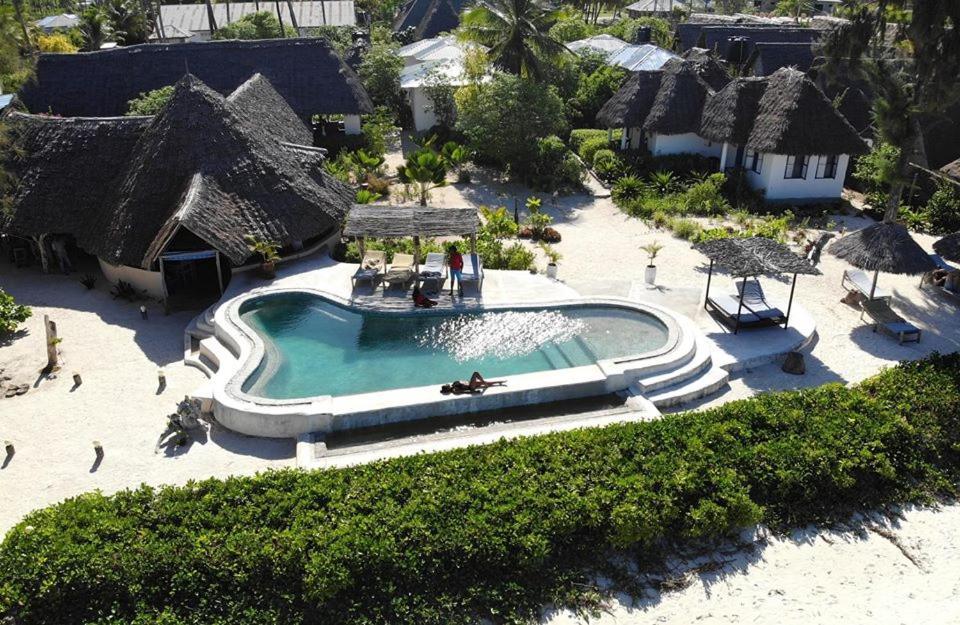 Driftwood Beach Lodge Jambiani  Ngoại thất bức ảnh