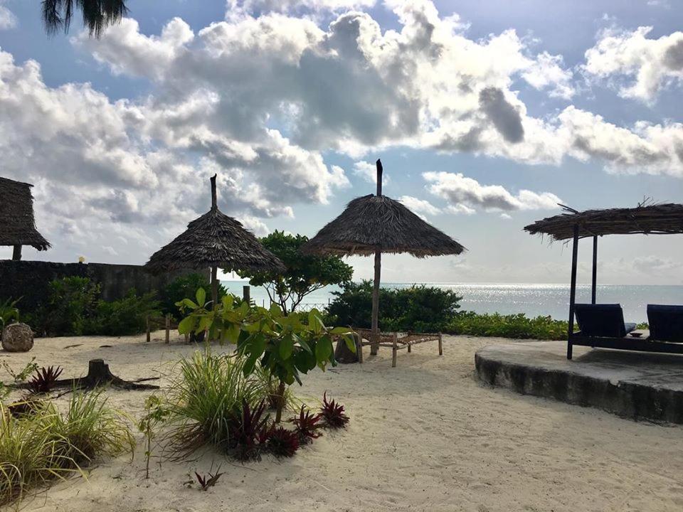 Driftwood Beach Lodge Jambiani  Ngoại thất bức ảnh