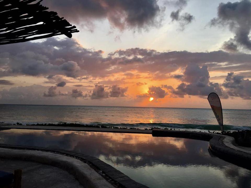 Driftwood Beach Lodge Jambiani  Ngoại thất bức ảnh