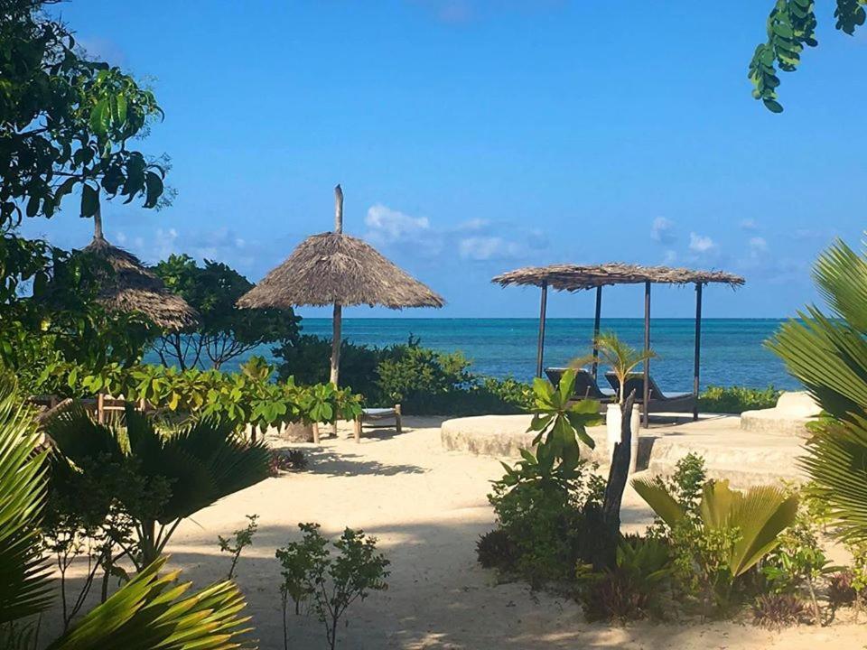 Driftwood Beach Lodge Jambiani  Ngoại thất bức ảnh