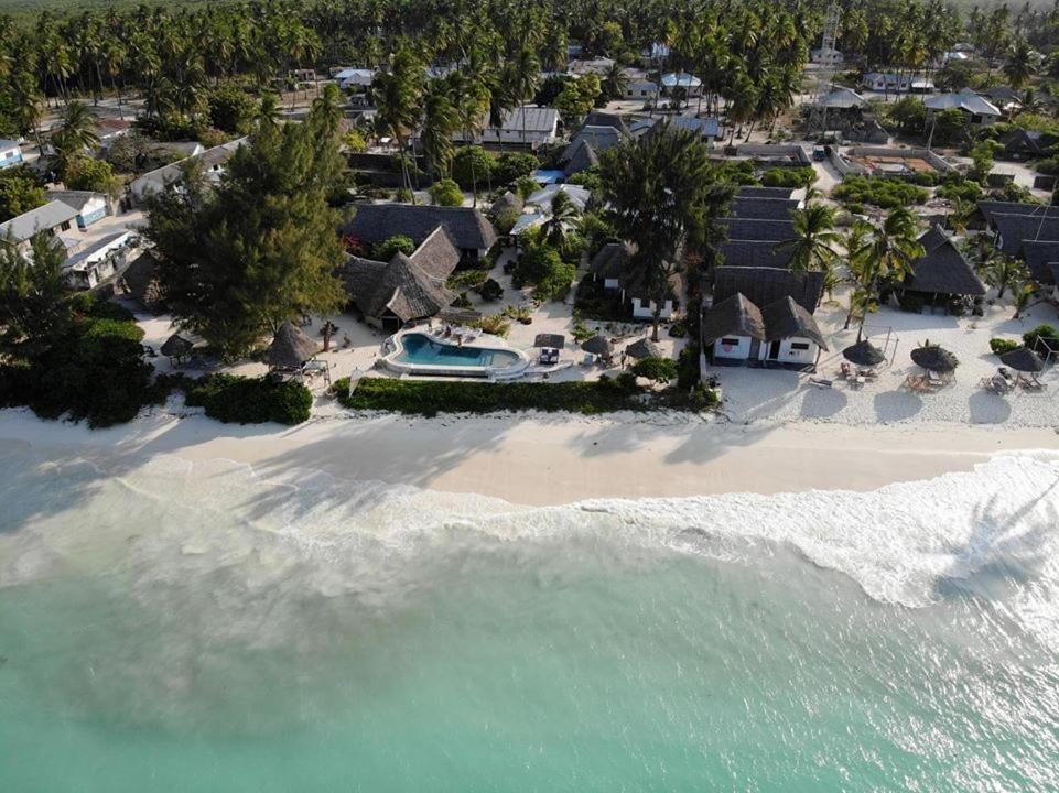 Driftwood Beach Lodge Jambiani  Ngoại thất bức ảnh